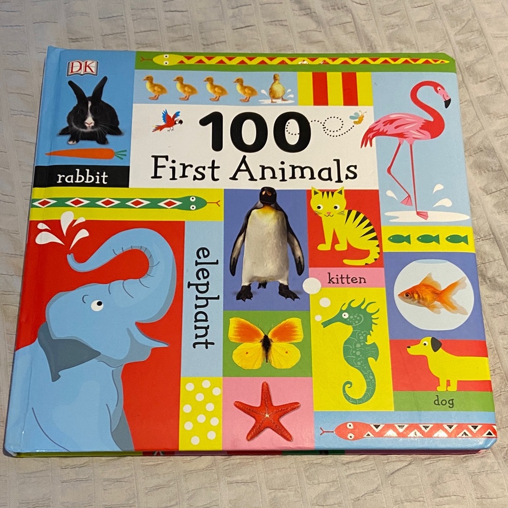 (3/$20) DK 100 First animals big board book